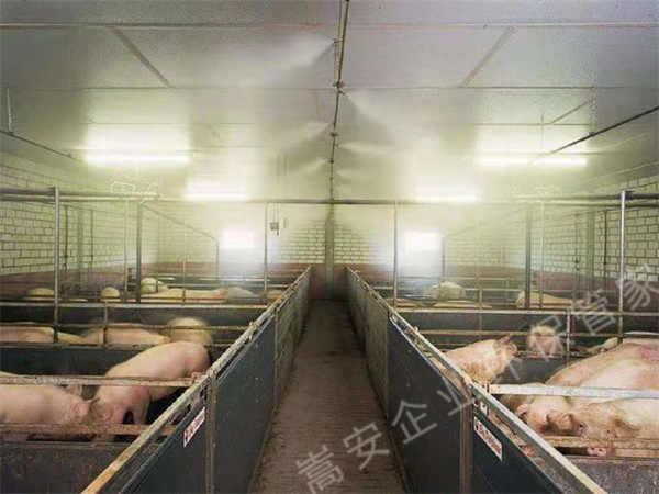 養(yǎng)殖場如何除臭可以降低禽畜患病風(fēng)險(xiǎn)，生物除臭劑效果不錯(cuò)